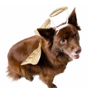 Dog & Cat Halloween Angel Wings & Halo Costume